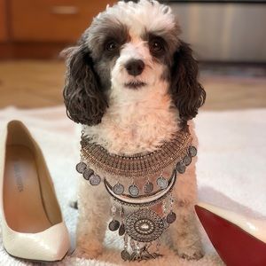 🐾💕SHOP MY MOMMY’S CLOSET @MFLOWER75🐾💕